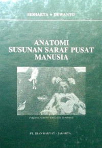 Anatomi susunan saraf pusat manusia