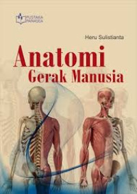 Anatomi gerak manusia